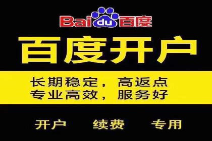 百度SEM广告策略在电商行业的成功案例