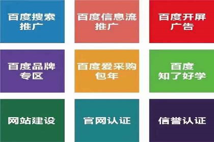 落地页在SEM优化中的重要性及成功案例